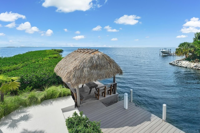 dock area with a water view