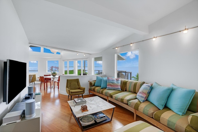 living room featuring light hardwood / wood-style flooring and lofted ceiling with beams