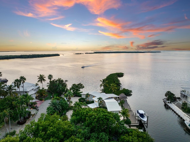 property view of water with a boat dock