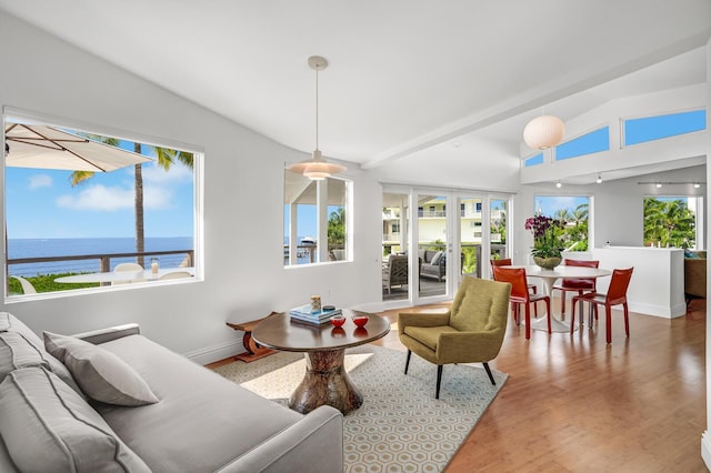 living room with a water view, a healthy amount of sunlight, lofted ceiling, and hardwood / wood-style floors