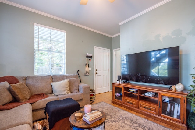 living room with ornamental molding, light hardwood / wood-style floors, and ceiling fan