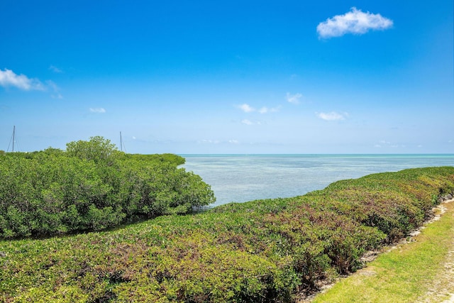 5960 Peninsular Ave Unit 101, Stock Island, FL 33040 - water view