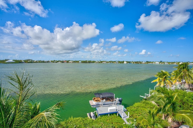 view of water feature with a dock