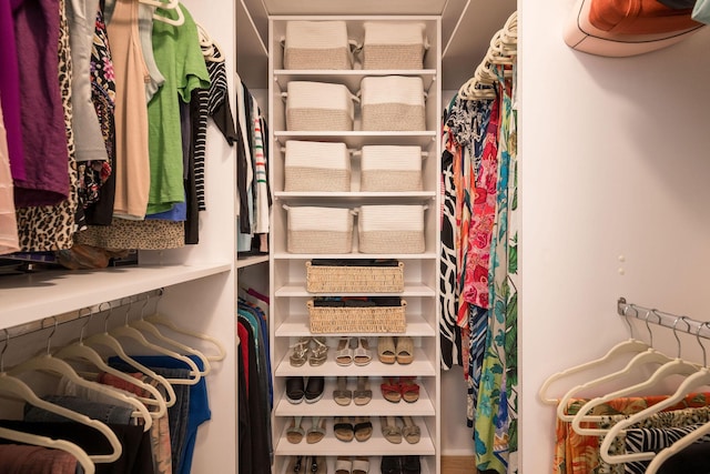 view of spacious closet