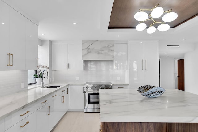 kitchen with modern cabinets, a tray ceiling, stainless steel electric range oven, white cabinets, and a sink