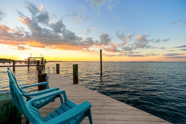 dock area with a water view