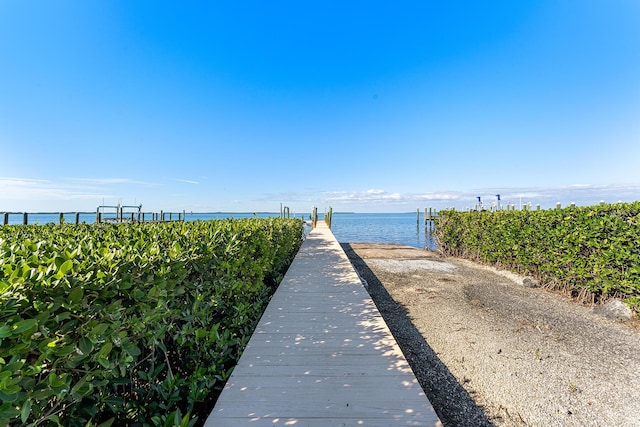 view of community featuring a water view and a boat dock