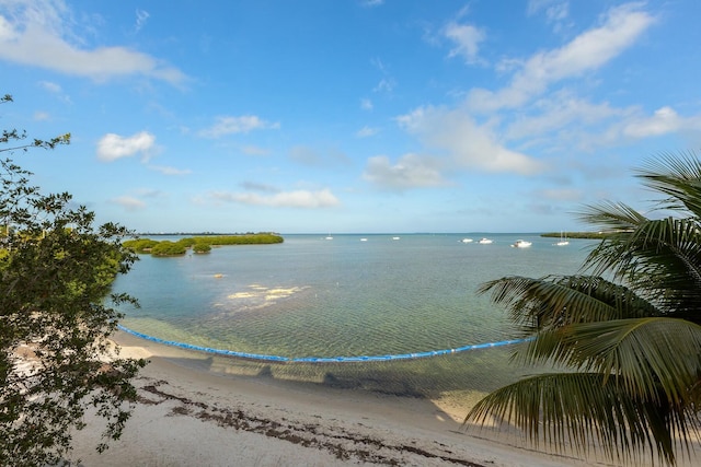 property view of water featuring a view of the beach