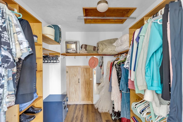 walk in closet featuring dark hardwood / wood-style floors