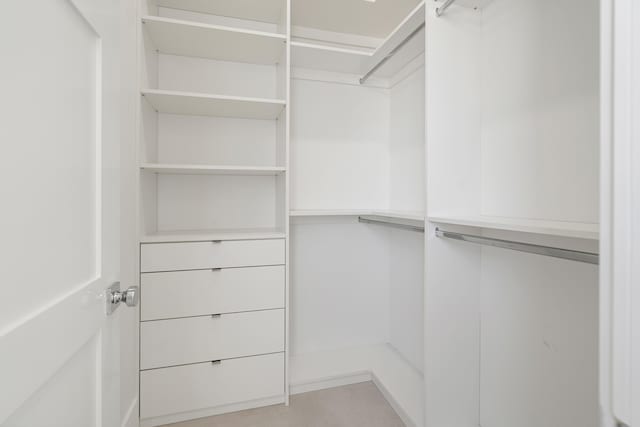 view of spacious closet