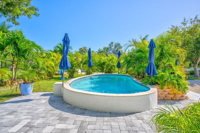 outdoor pool featuring a patio