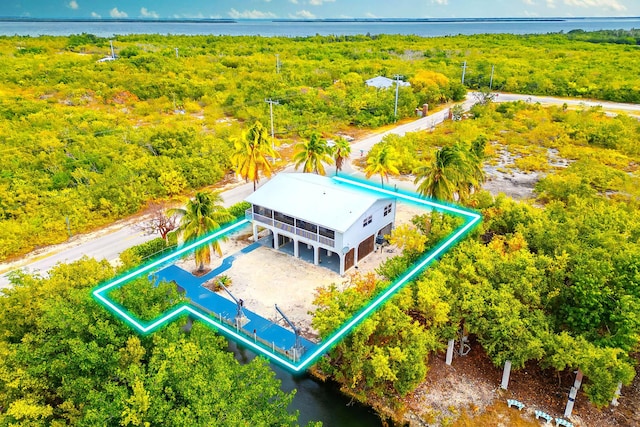 bird's eye view featuring a water view and a view of trees