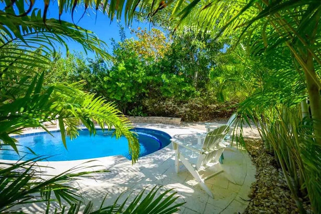 view of swimming pool featuring a patio area