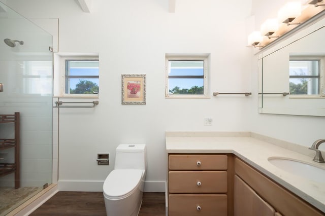 bathroom with plenty of natural light, toilet, and vanity