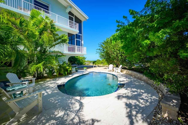 view of swimming pool featuring a patio