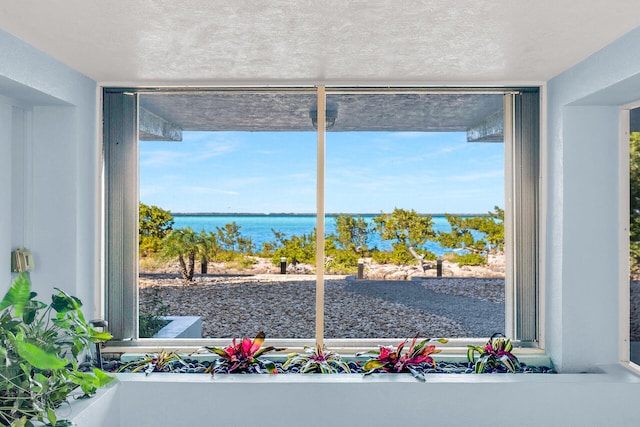 room details featuring a water view