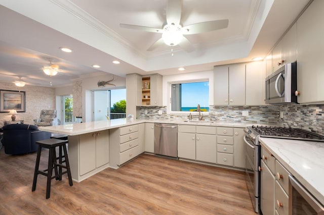 kitchen with sink, a kitchen breakfast bar, kitchen peninsula, a raised ceiling, and stainless steel appliances