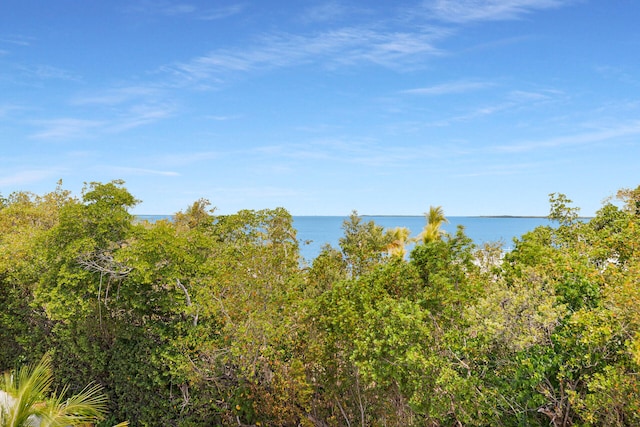 21 Lakeview Dr, Key Largo, FL 33037 - water view