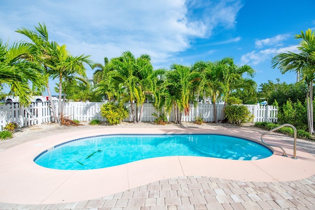 view of swimming pool with a patio