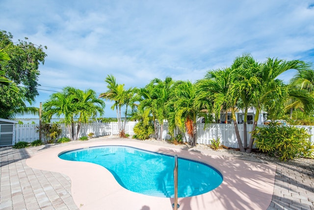 view of swimming pool featuring a patio area