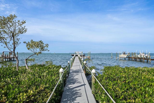 dock area featuring a water view