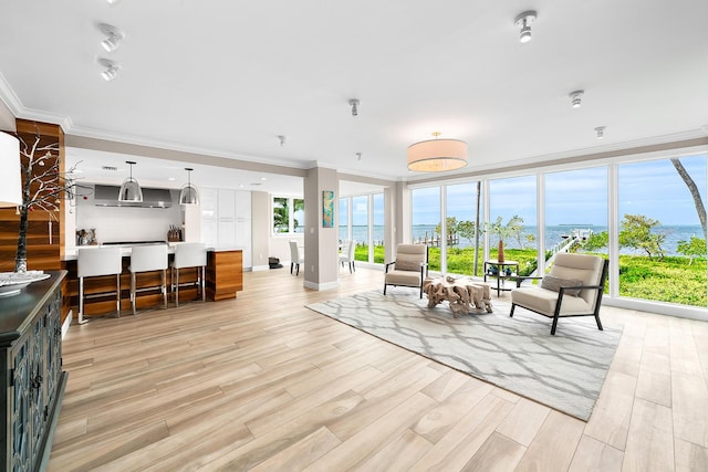 living room featuring ornamental molding, a water view, and light hardwood / wood-style flooring