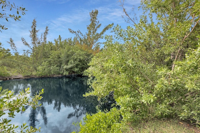 view of water feature