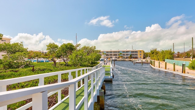 dock area with a water view