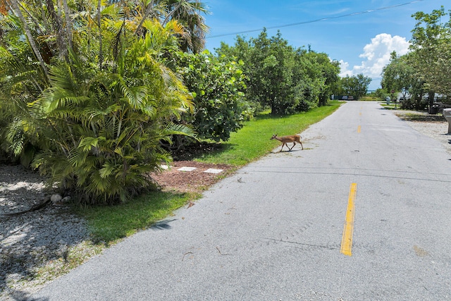 30461 Poinciana Rd, Big Pine, FL 33043 - photo 22