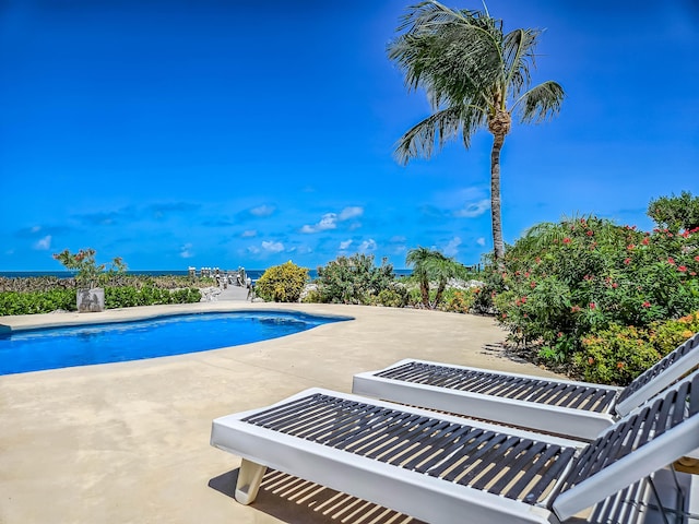 view of swimming pool featuring a patio area