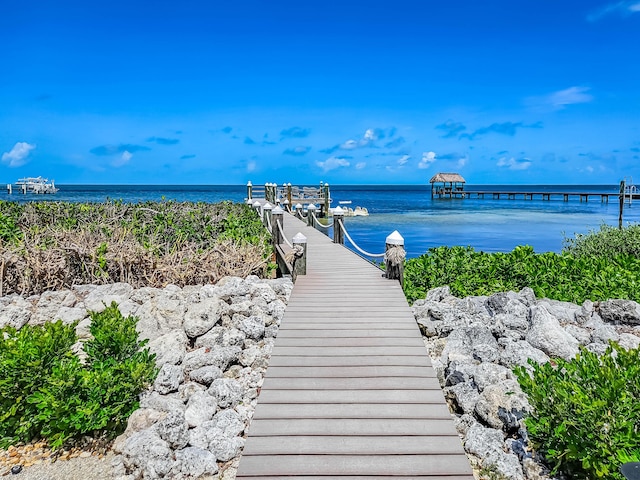 water view featuring a boat dock