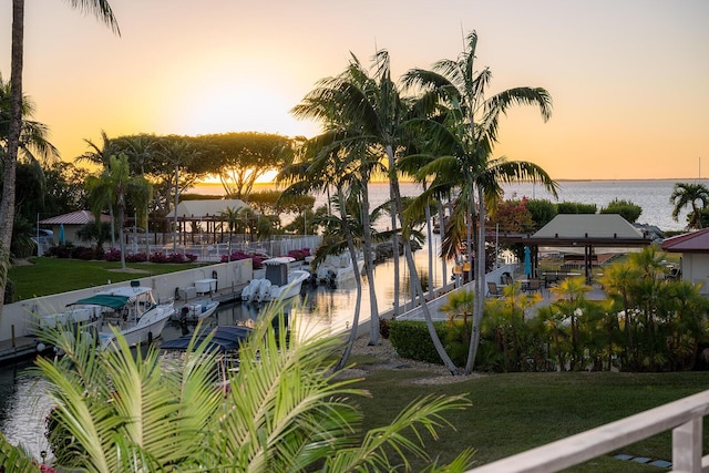 water view featuring a boat dock