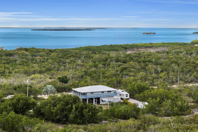 birds eye view of property featuring a water view and a wooded view