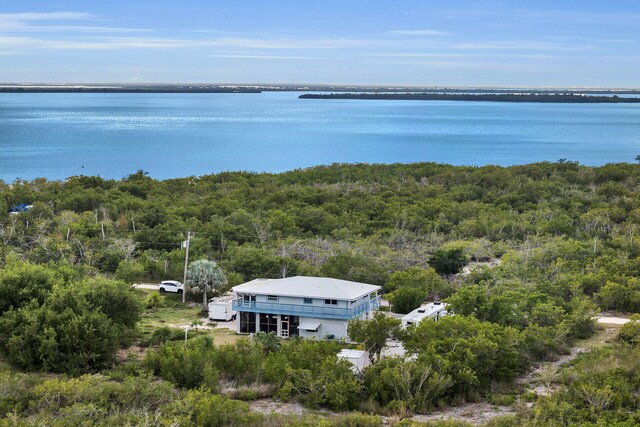 birds eye view of property featuring a water view and a forest view