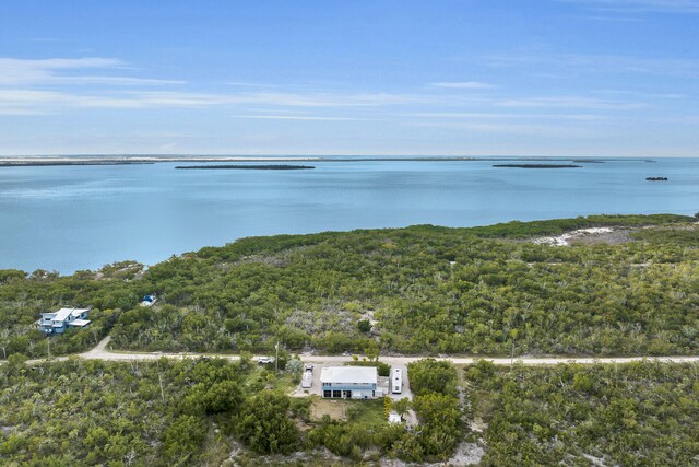 bird's eye view featuring a forest view and a water view