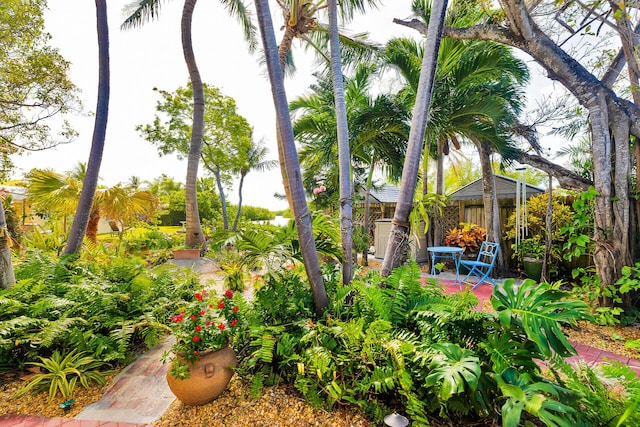 1513 5th St, Key West, FL 33040 - view of yard featuring fence and a patio area