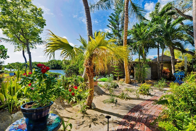 1513 5th St, Key West, FL 33040 - view of yard featuring fence