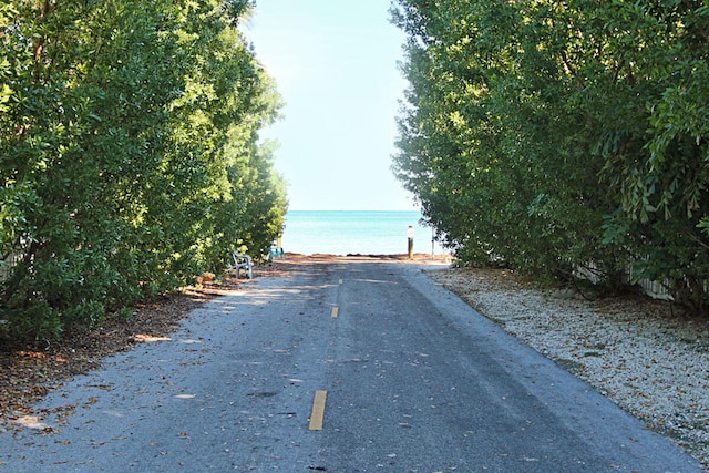 view of road with a water view