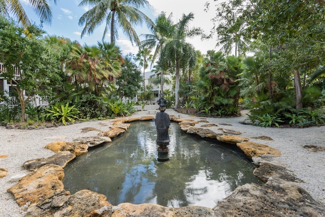 surrounding community featuring a small pond