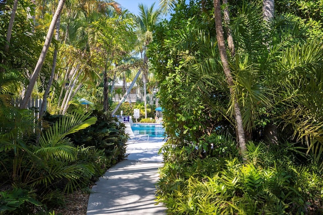 view of community with a swimming pool