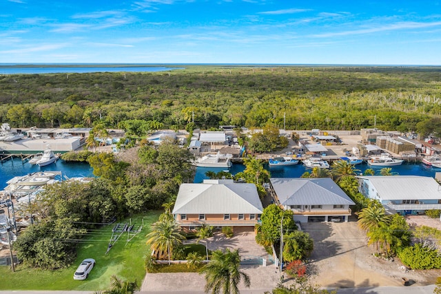 drone / aerial view featuring a water view and a view of trees