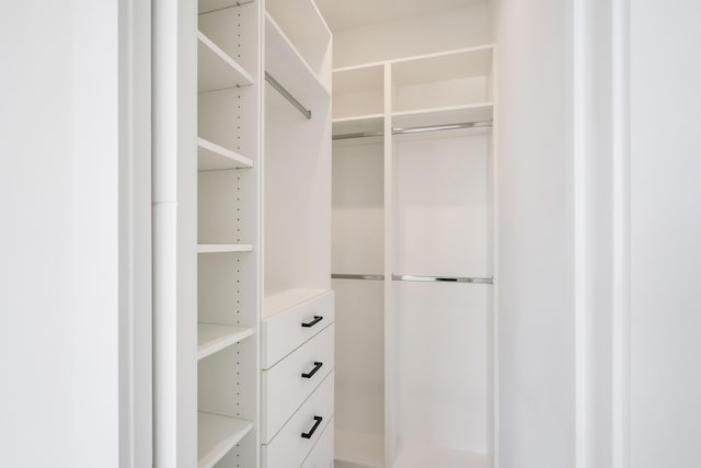 view of spacious closet