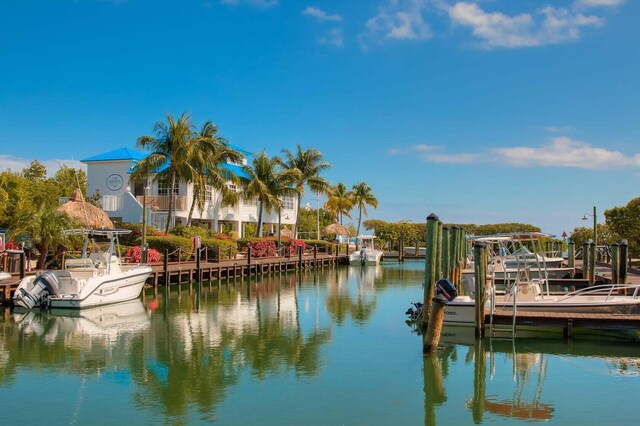 dock area featuring a water view