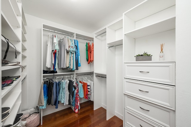 spacious closet with dark hardwood / wood-style floors