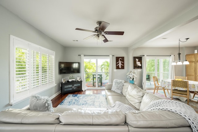 living room with a healthy amount of sunlight, dark wood-type flooring, and ceiling fan