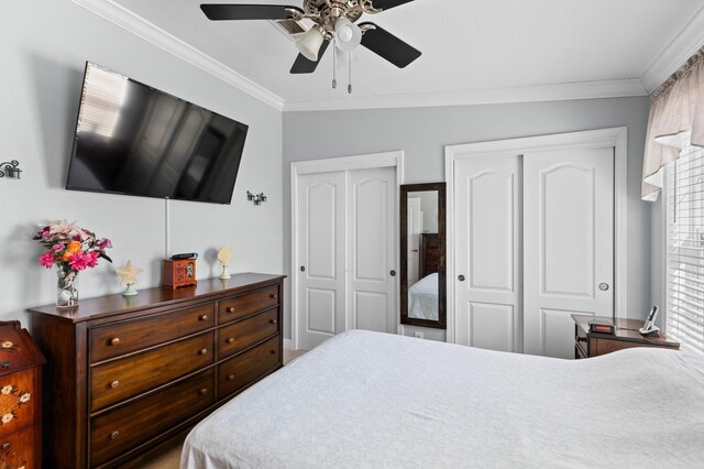 bedroom with multiple closets, ornamental molding, and ceiling fan