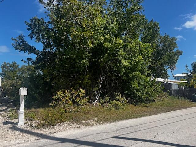 31145 Hibiscus Dr, Big Pine FL, 33043 land for sale