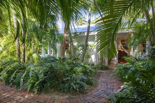 view of home's exterior featuring stucco siding