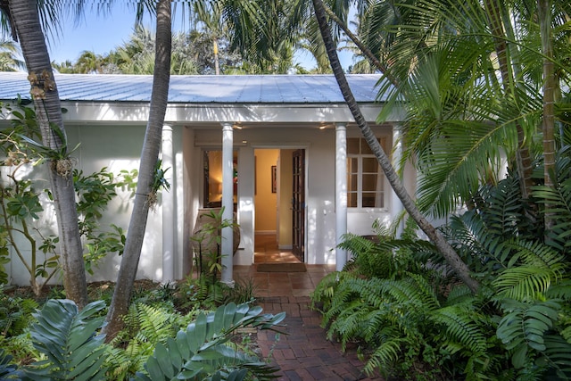 entrance to property with metal roof and stucco siding