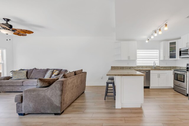 living room with ceiling fan, sink, track lighting, and light hardwood / wood-style floors